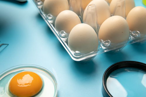 無(wú)菌雞蛋食品安全農(nóng)業(yè)科技食品培育攝影圖 插畫(huà) 下載至來(lái)源處