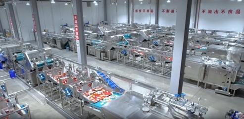 衛(wèi)龍透明工廠:全鏈條守護(hù),打造品質(zhì)食品的新標(biāo)桿